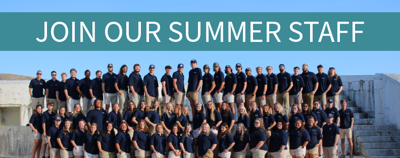 Summer_2026_feature-02